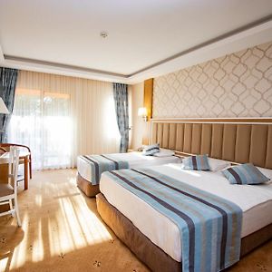 Superior Double or Twin Room Mountain View